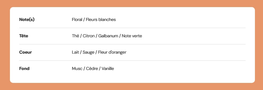 Tablette de  fondants parfumés "Thé matcha"