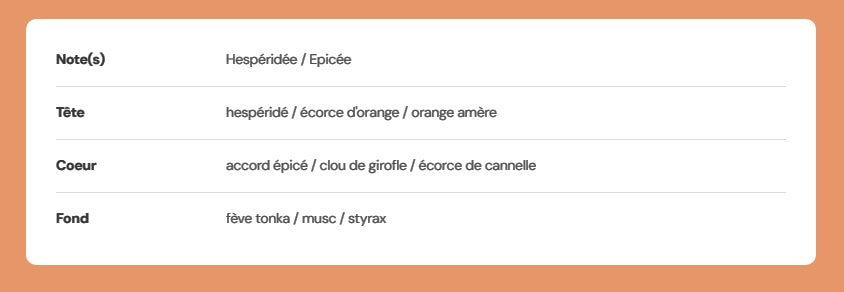 Tablette de  fondants parfumés "Eclat de fêtes"